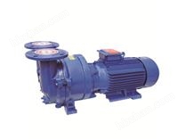 水環(huán)式真空泵