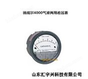 德威爾4000氣液兩用差壓表
