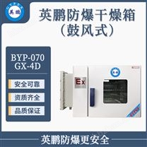 藥品室鼓風(fēng)防爆干燥箱