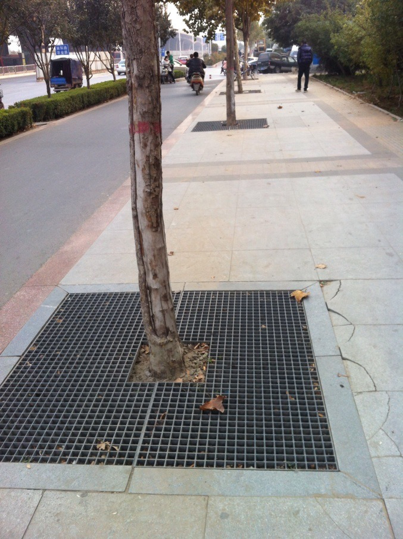 扬州树篦子生产厂家|黄冈护树板耐腐蚀|质优价廉