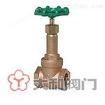 日本YAMATO大和絲扣閘閥