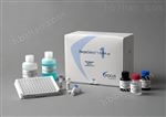 人鳥苷酸交換因子（GEF）Elisa檢測試劑盒說明書/價格